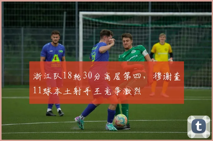 浙江队18轮30分高居第四，穆谢奎11球本土射手王竞争激烈