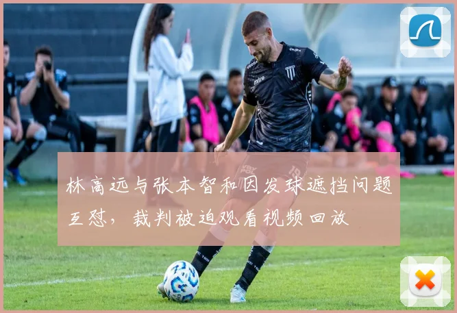 林高远与张本智和因发球遮挡问题互怼，裁判被迫观看视频回放